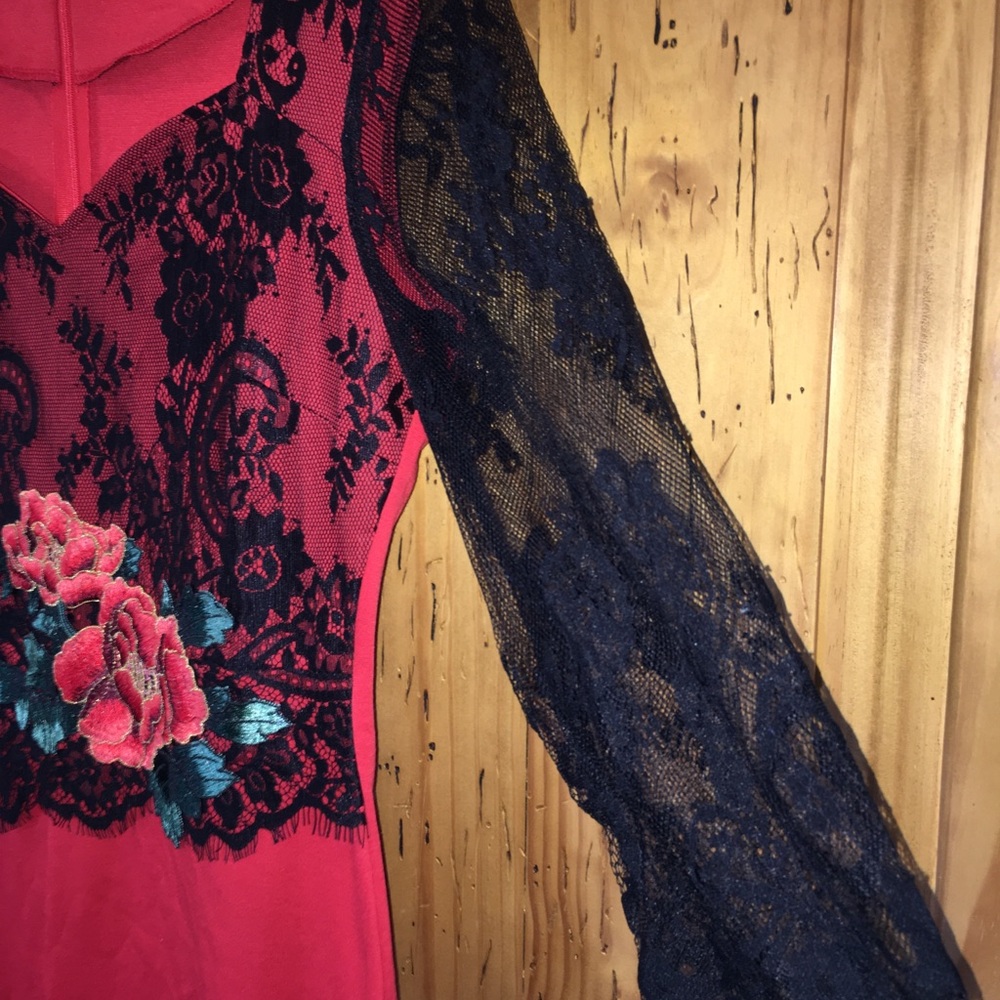 Lace and Roses Dress - Picture 3 of 8